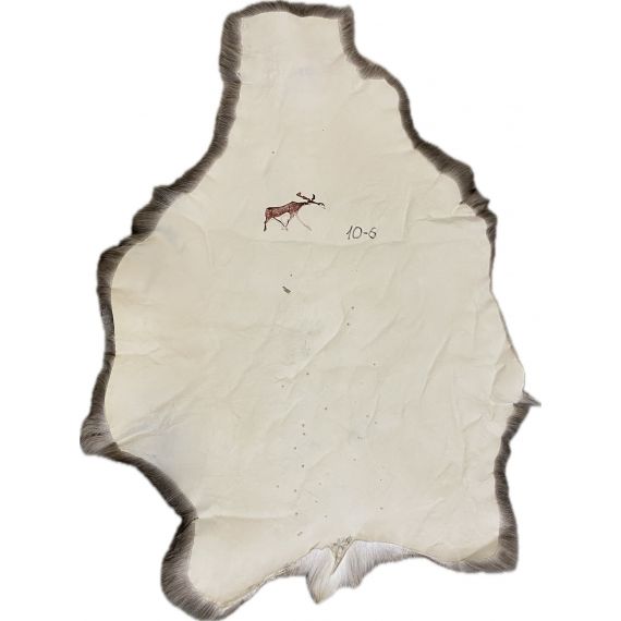 Натуральная шкура оленя BG10-6, изображение 2