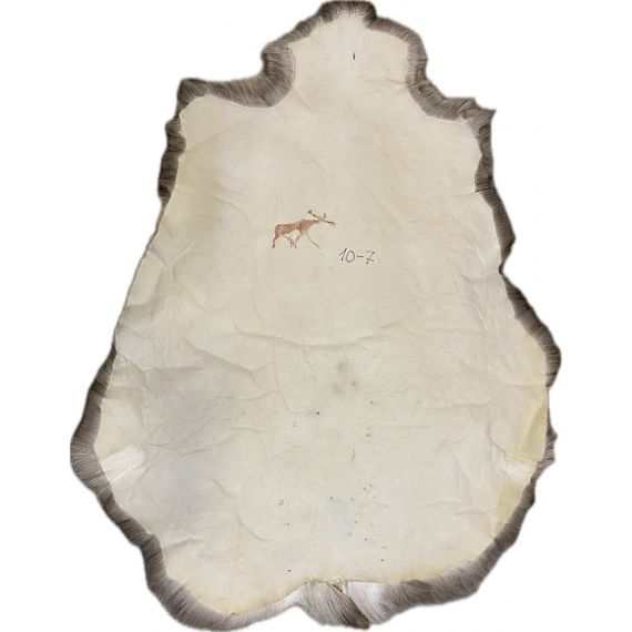 Натуральная шкура оленя BG10-7, изображение 2