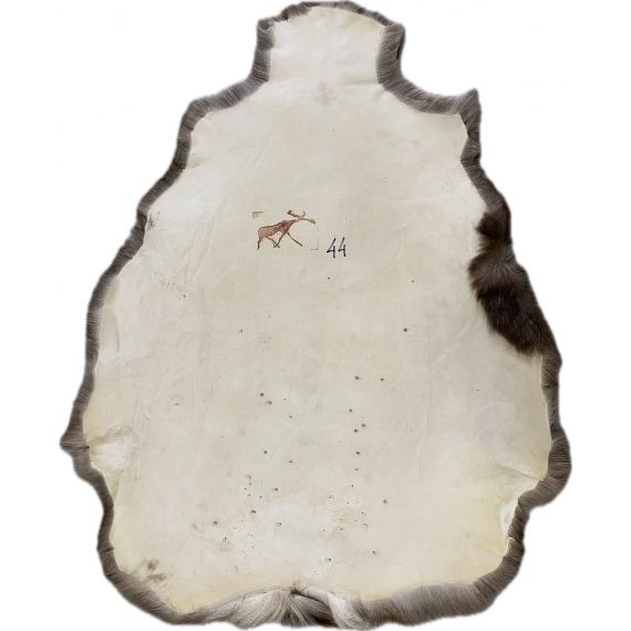 Натуральная шкура оленя BG4-44, изображение 2
