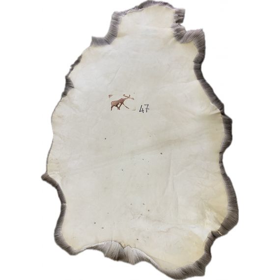 Натуральная шкура оленя BG4-47, изображение 2