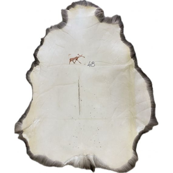 Натуральная шкура оленя BG4-48, изображение 2