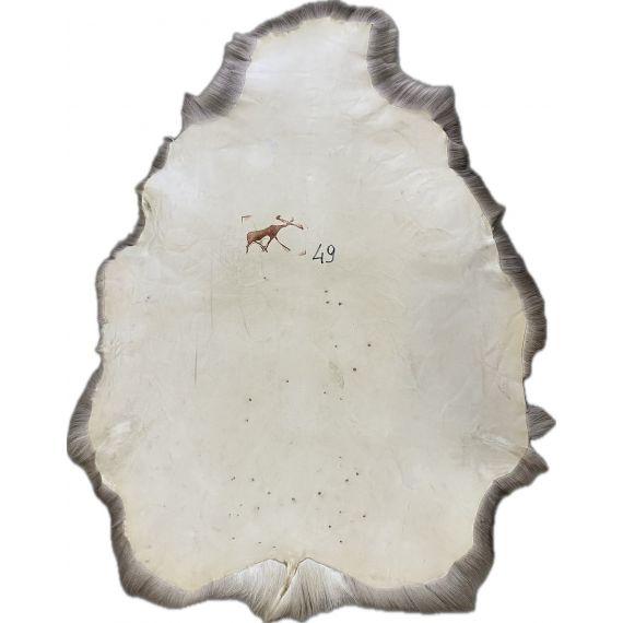 Натуральная шкура оленя BG4-49, изображение 2 - MyBiggame Натуральная шкура оленя BG4-49, изображение 2