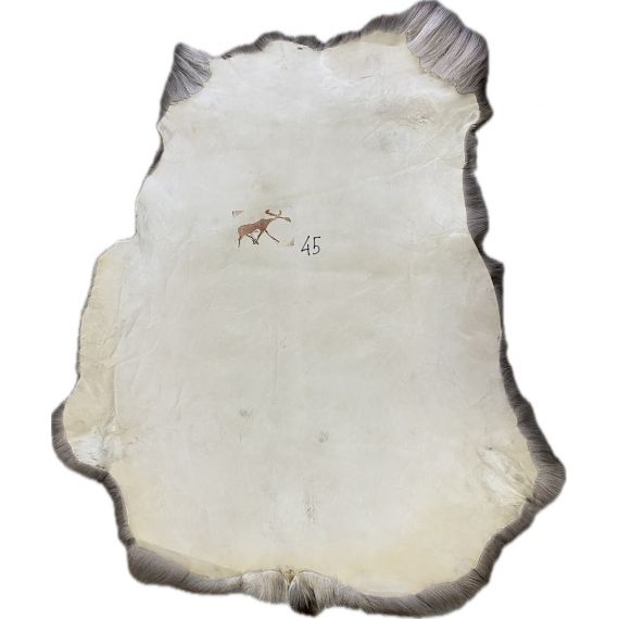 Натуральная шкура оленя BG4-45, изображение 2