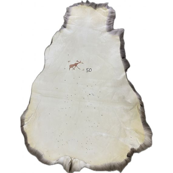 Натуральная шкура оленя BG4-50, изображение 2