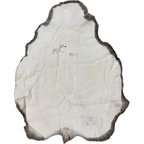 Натуральная шкура оленя BG10-1, изображение 2