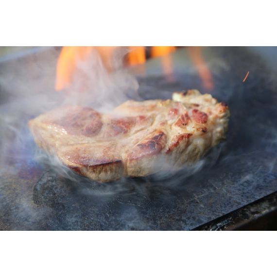 Плоская костровая сковорода Winnerwell Titanium Cutting Board Small, изображение 6