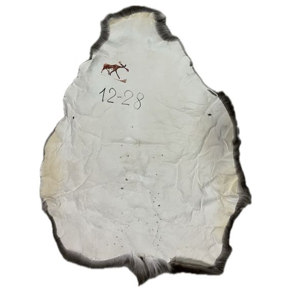 Натуральная шкура оленя BG12-28, изображение 2