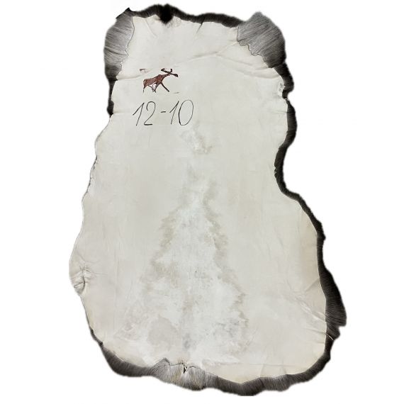 Натуральная шкура оленя BG12-10, изображение 2