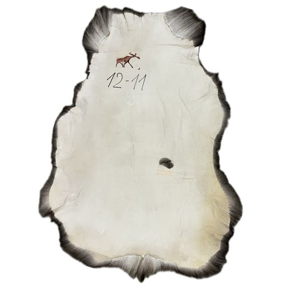 Натуральная шкура оленя BG12-11, изображение 2