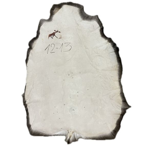 Натуральная шкура оленя BG12-13, изображение 2