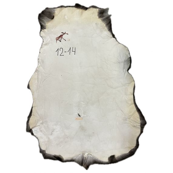 Натуральная шкура оленя BG12-14, изображение 2
