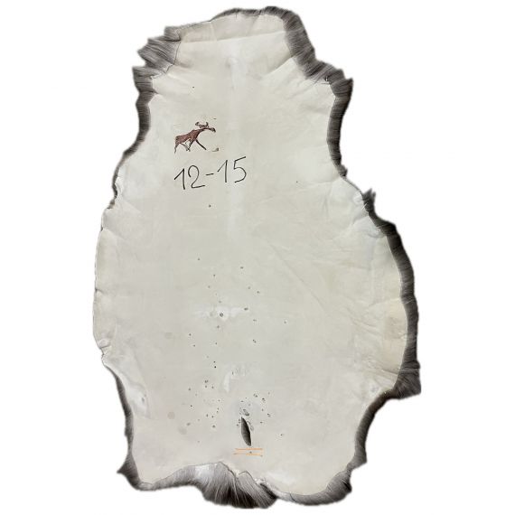 Натуральная шкура оленя BG12-15, изображение 2