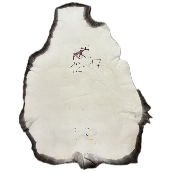 Натуральная шкура оленя BG12-17, изображение 2