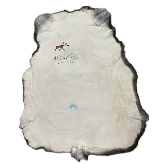 Натуральная шкура оленя BG12-18, изображение 2