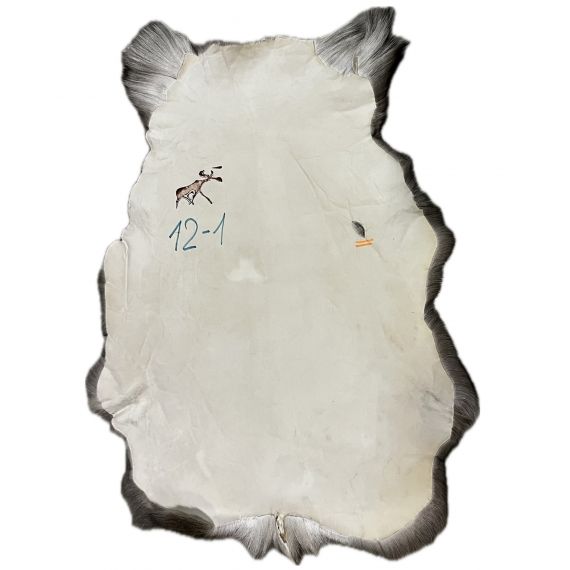 Натуральная шкура оленя BG12-1, изображение 2