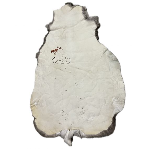 Натуральная шкура оленя BG12-20, изображение 2