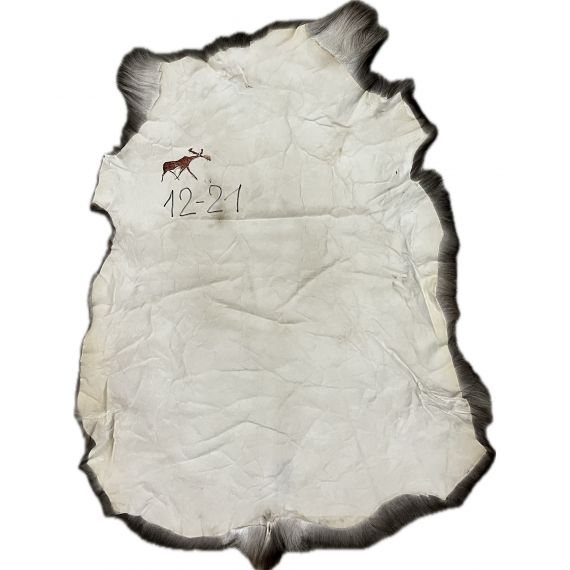Натуральная шкура оленя BG12-21, изображение 2