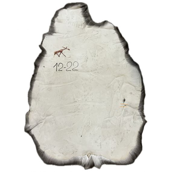 Натуральная шкура оленя BG12-22, изображение 2