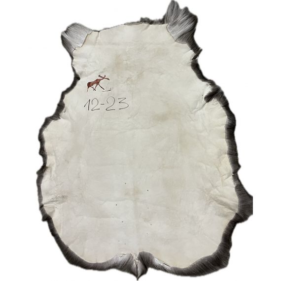 Натуральная шкура оленя BG12-23, изображение 2