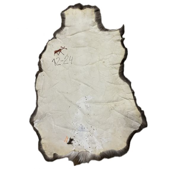 Натуральная шкура оленя BG12-24, изображение 2