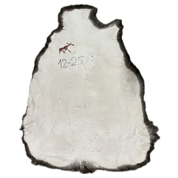 Натуральная шкура оленя BG12-25, изображение 2