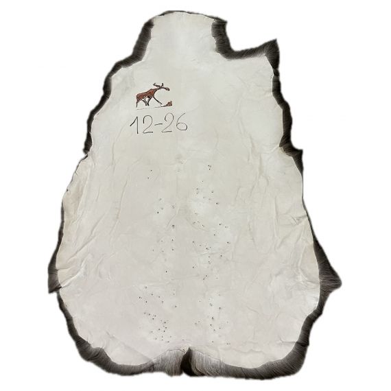 Натуральная шкура оленя BG12-26, изображение 2