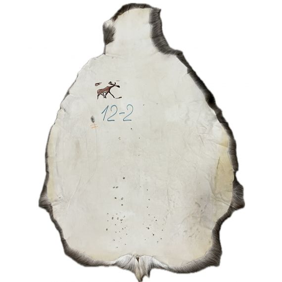 Натуральная шкура оленя BG12-2, изображение 2