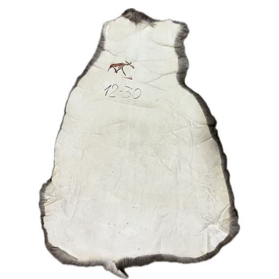 Натуральная шкура оленя BG12-30, изображение 2