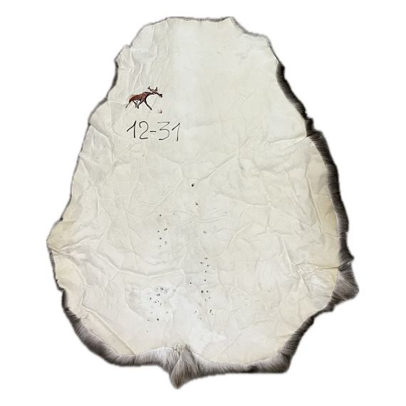 Натуральная шкура оленя BG12-31, изображение 2