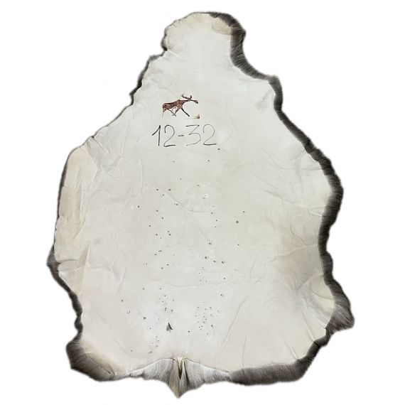 Натуральная шкура оленя BG12-32, изображение 2