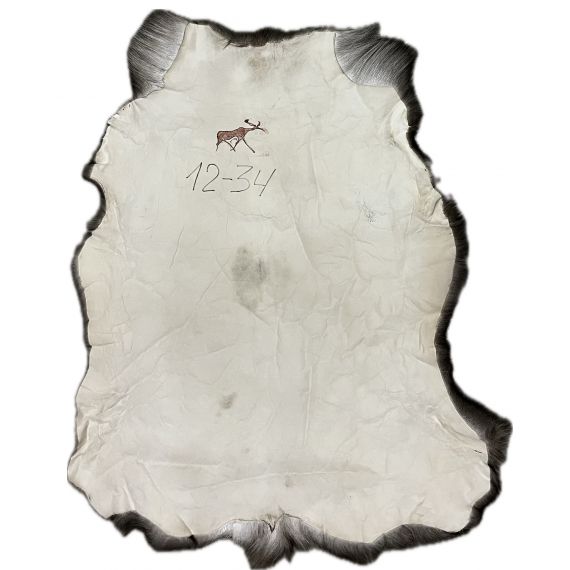Натуральная шкура оленя BG12-34, изображение 2