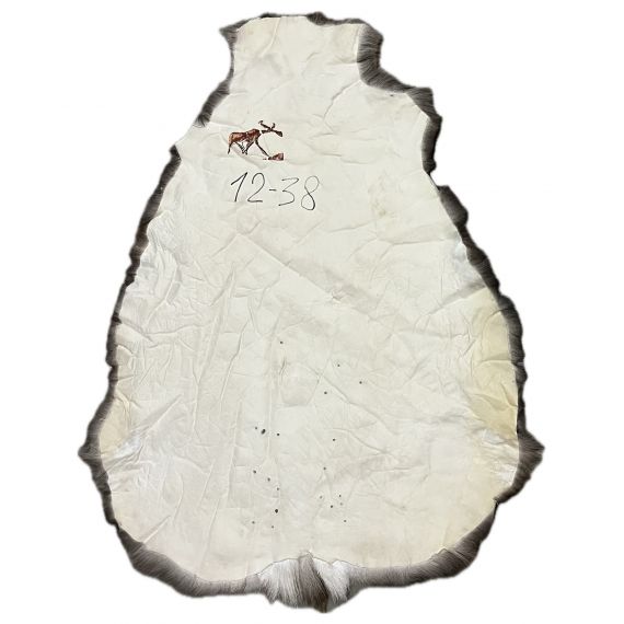 Натуральная шкура оленя BG12-38, изображение 2