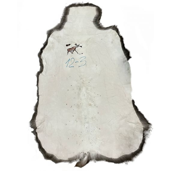 Натуральная шкура оленя BG12-3, изображение 2
