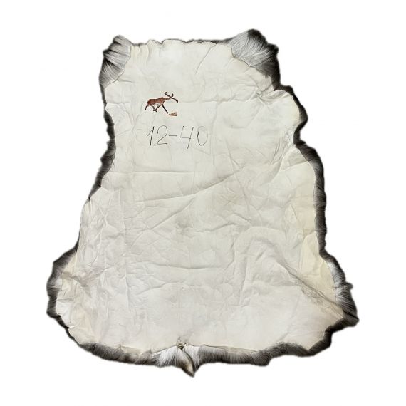 Натуральная шкура оленя BG12-40, изображение 2