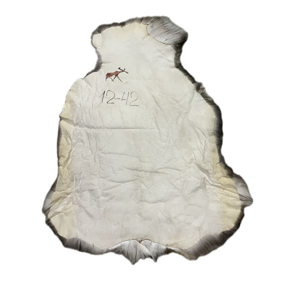 Натуральная шкура оленя BG12-42, изображение 2