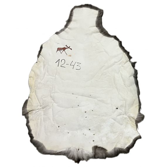 Натуральная шкура оленя BG12-43, изображение 2