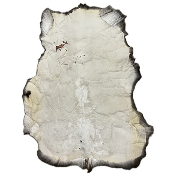 Натуральная шкура оленя BG12-45, изображение 2