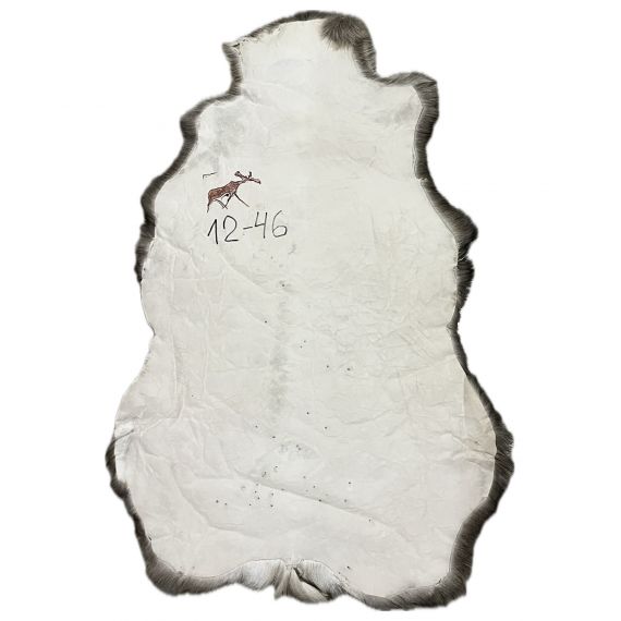 Натуральная шкура оленя BG12-46, изображение 2