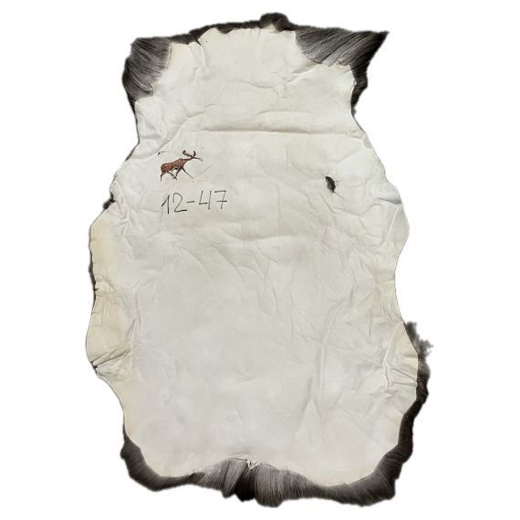Натуральная шкура оленя BG12-47, изображение 2