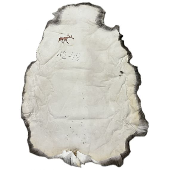 Натуральная шкура оленя BG12-48, изображение 2