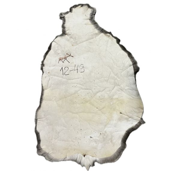 Натуральная шкура оленя BG12-49, изображение 2