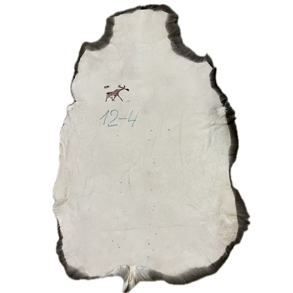 Натуральная шкура оленя BG12-4, изображение 2