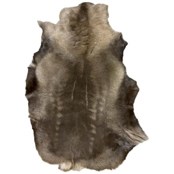 Натуральная шкура оленя BG12-5