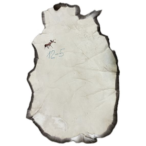Натуральная шкура оленя BG12-5, изображение 2