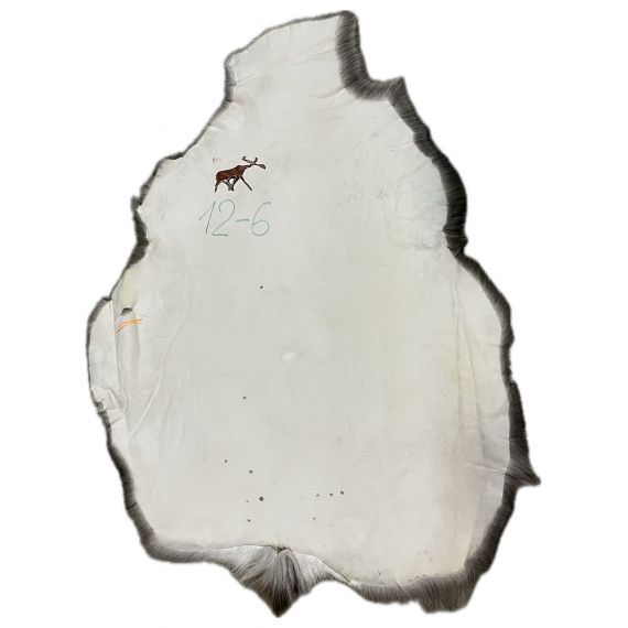 Натуральная шкура оленя BG12-6, изображение 2