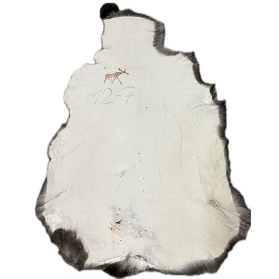 Натуральная шкура оленя BG12-7, изображение 2