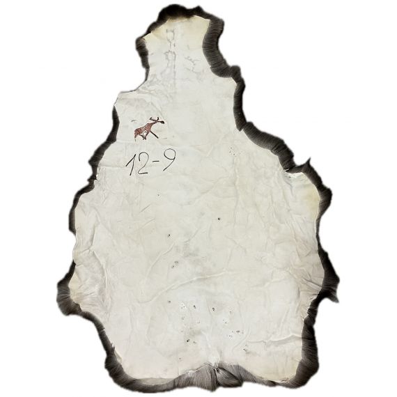 Натуральная шкура оленя BG12-9, изображение 2