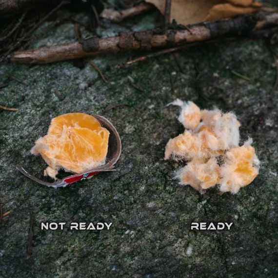 Трут для розжига Procamptek Fast Fire Stick Fire Starter, изображение 4