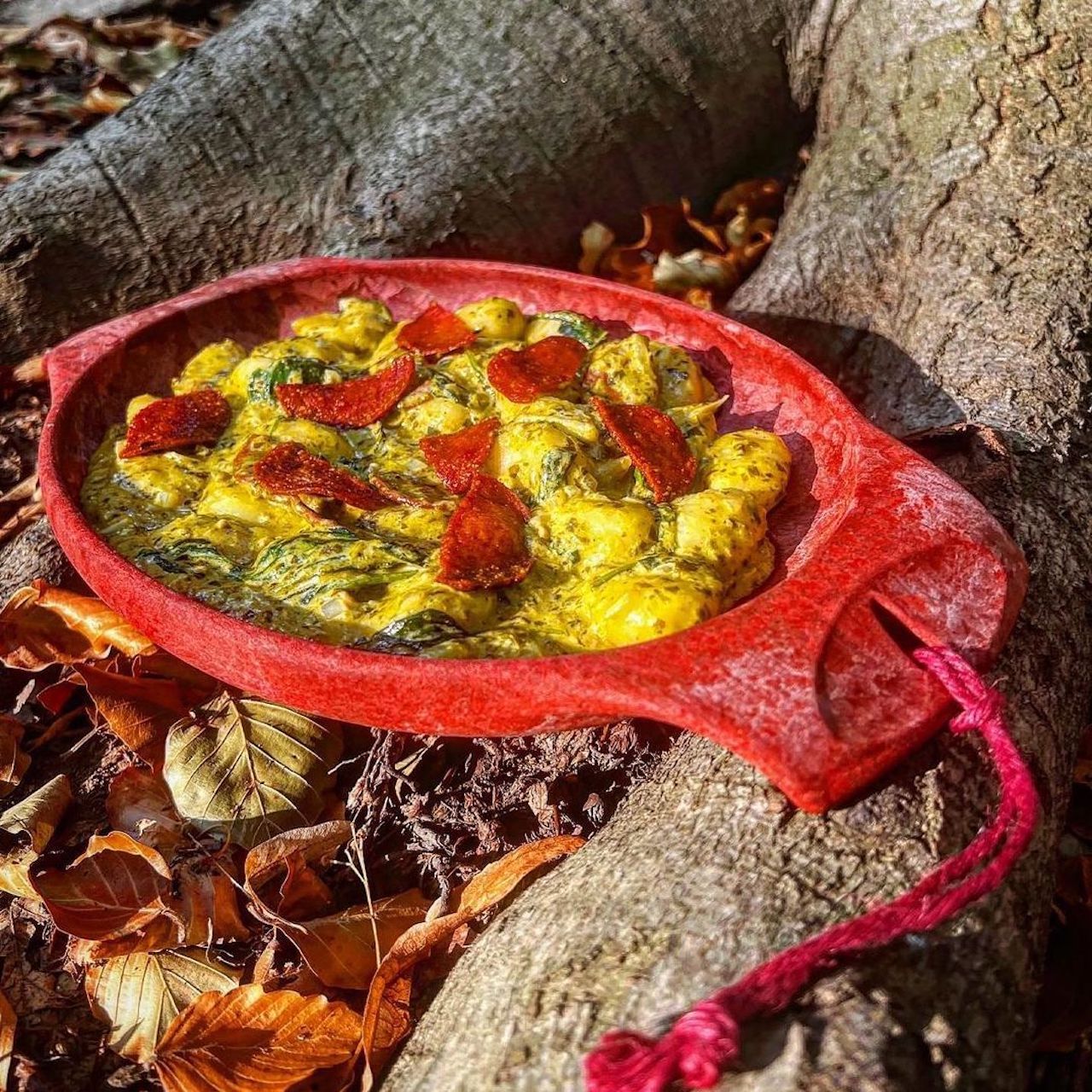 Удобная туристическая тарелка Kupilka 44, Cranberry для путешествий и отдыха на природе