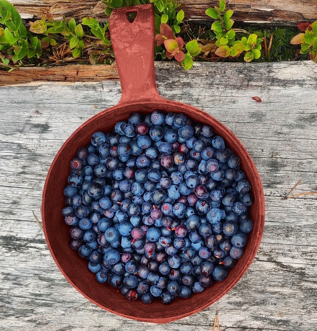 Глубокая походная миска Kupilka 55, Cranberry для туризма и отдыха на природе